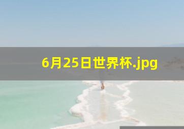 6月25日世界杯