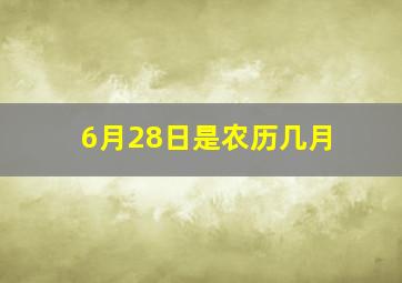 6月28日是农历几月