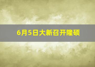 6月5日大新召开隆硕