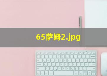 65萨姆