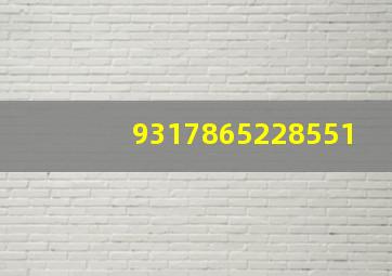 9317865228551