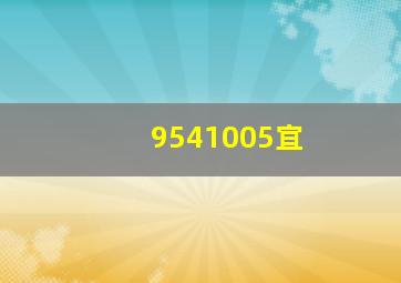 9541005宜