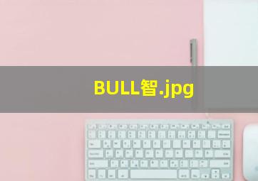 BULL智