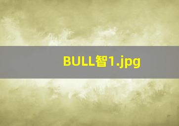 BULL智