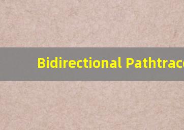 Bidirectional Pathtrace 