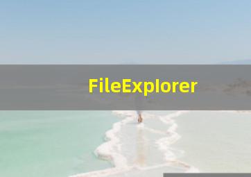 FileExpIorer