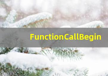 FunctionCallBegin 