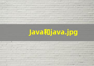Java和java