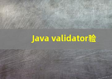 Java validator验