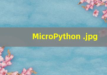 MicroPython 