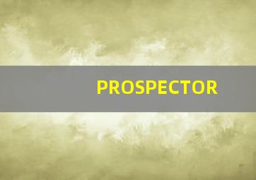 PROSPECTOR
