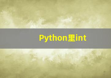 Python里int