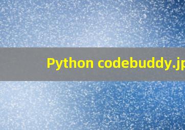 Python codebuddy