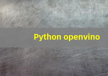 Python openvino