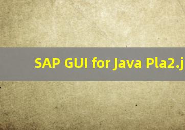 SAP GUI for Java Pla