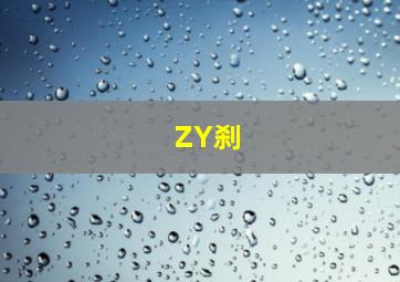 ZY刹