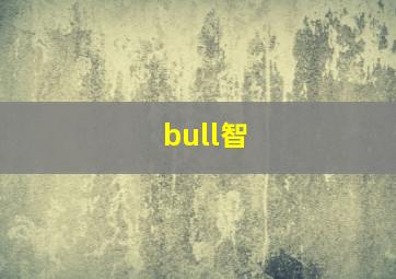 bull智
