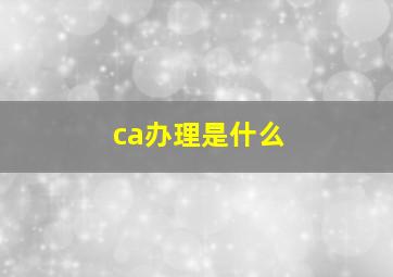 ca办理是什么