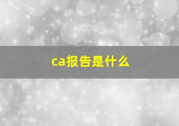 ca报告是什么