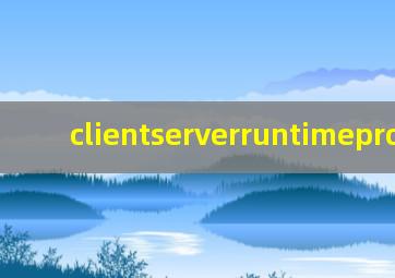 clientserverruntimeprocess