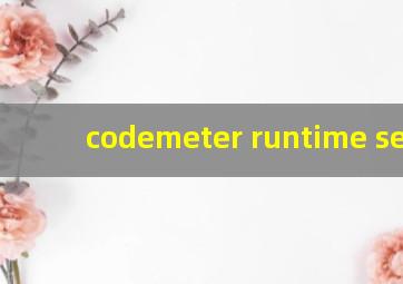 codemeter runtime serve