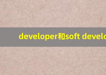developer和soft developer