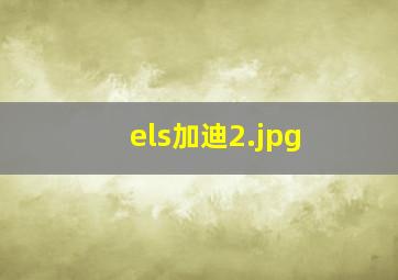 els加迪