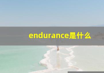 endurance是什么