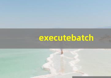executebatch