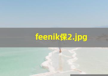 feenik保