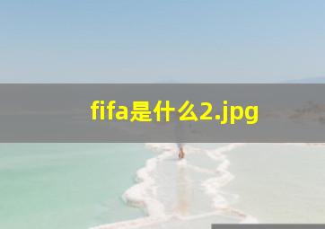 fifa是什么