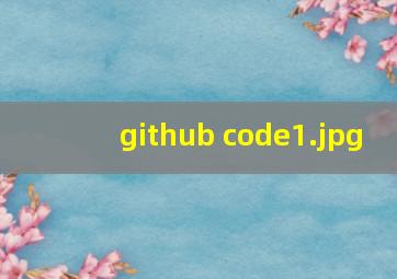 github code