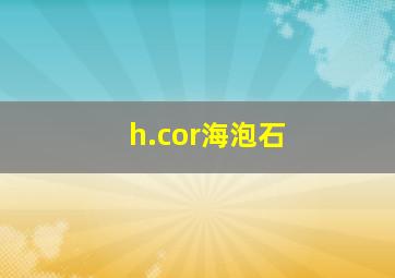 h.cor海泡石