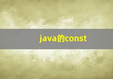 java的const