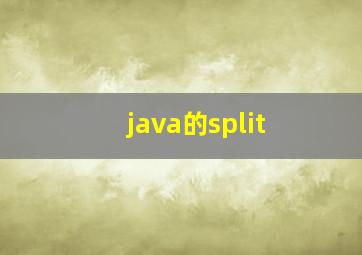 java的split
