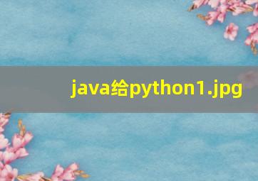 java给python