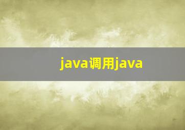 java调用java