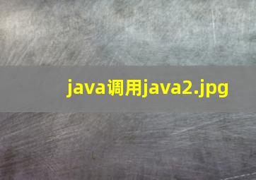 java调用java