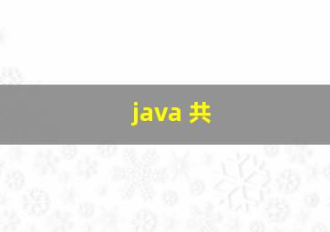 java 共