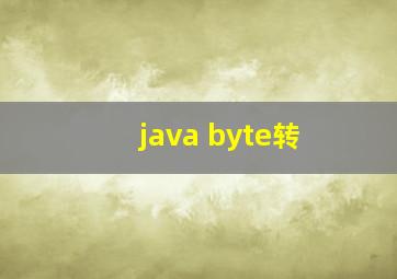 java byte转