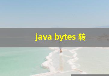 java bytes 转