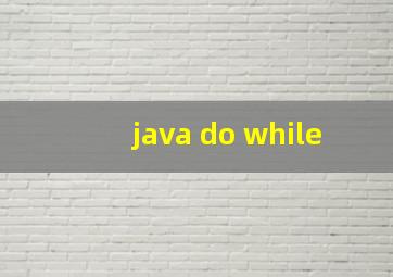 java do while