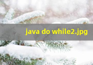 java do while