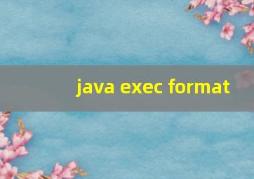 java exec format