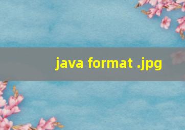 java format 