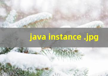 java instance 