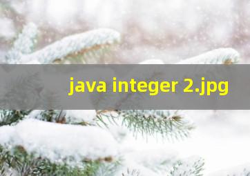 java integer 