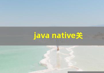 java native关