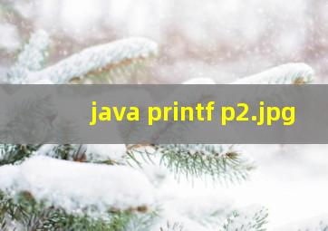 java printf p