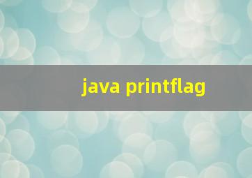 java printflag